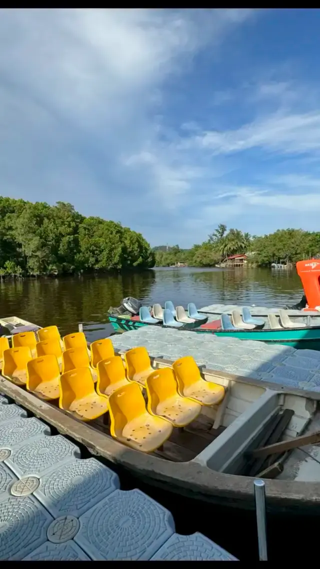 Exploring Cherating's Mangroves: A Scenic River Cruise with Our Local Guide