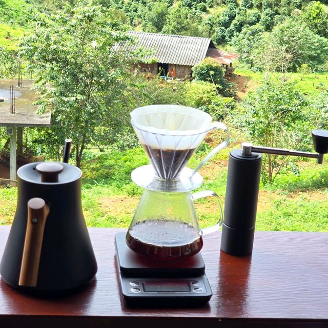 Matsika Coffee Farm บ้านปางขอน