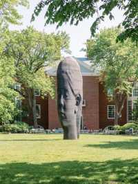 🏛️ Harvard University | 一場難忘的校園之旅 🎓