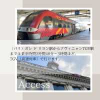 【フランス・アヴィニョン】プロヴァンスの城壁都市