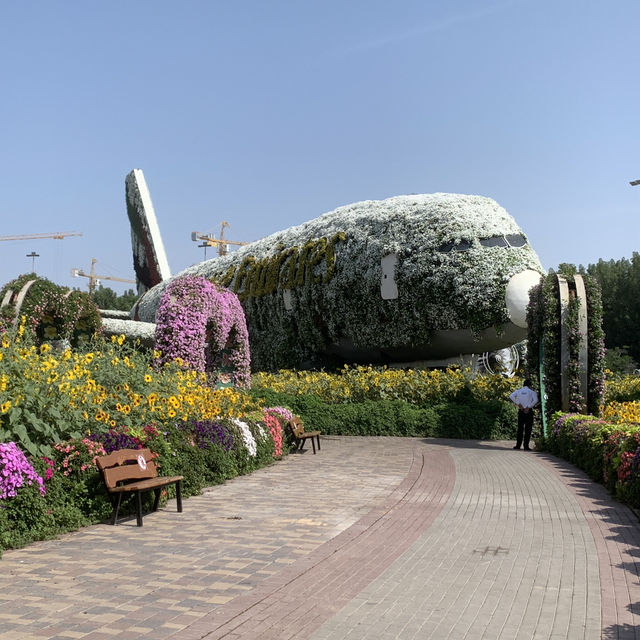 Floral Fantasy: Exploring Dubai Miracle Garden