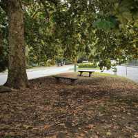 A Peaceful Escape in the Heart of Turin: The Serenity of Parco del Valentino
