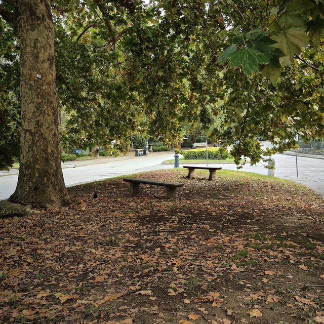 A Peaceful Escape in the Heart of Turin: The Serenity of Parco del Valentino