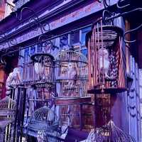 Step into the Magic: Explore Harry Potter Studios Tokyo