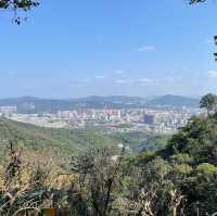 Nature’s Retreat in the City