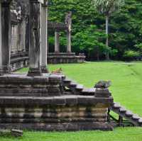 See Angkor Wat and Die