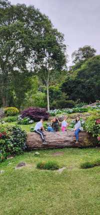 Spring Garden Kundasang, Beautiful floral and landscape