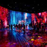 Tokyo Teamlab Borderless