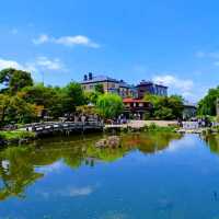 【京都】京都旅はここから始まる！名勝円山公園