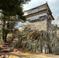 【岡山】天守が残る唯一の山城🏯備中松山城