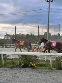 【帯広競馬場:北海道帯広市】ばんえい競馬を見られる唯一の競馬場🏇