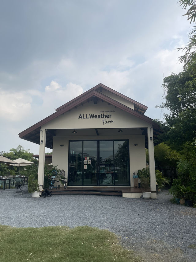 มาดูคาปิบาร่าที่ ALL weather farm🐷🐴🐓