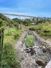 【淡路島】秋の花畑を求めて