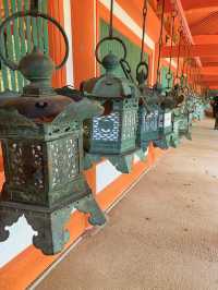 【朱塗りのあでやかな社殿が魅力✨世界遺産春日大社⛩️】