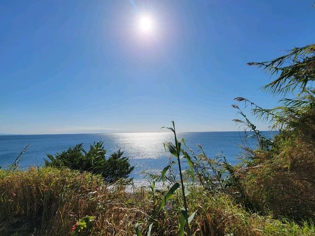 來高知的無敵海景餐廳看太平洋吧！
