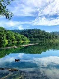 A facinating walk in natute experience! 🌿