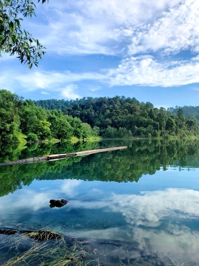 A facinating walk in natute experience! 🌿