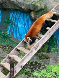 สวนสัตว์เปิดในสวนสาธารณะที่โตเกียว เจ๋งมาก! 🦭🦊