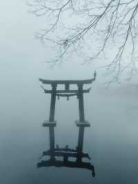 【大分】朝靄の絶景スポット！