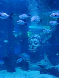 バンコク中心地にあるアクアリウム🐠