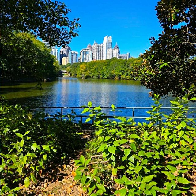 THE BEAUTIFUL PIEDMONT PARK.