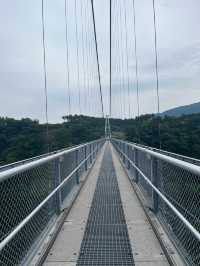 【大分/九重】日本一の大吊橋