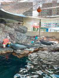 【 東京 品川 】本当は秘密にしたい東京の穴場水族館