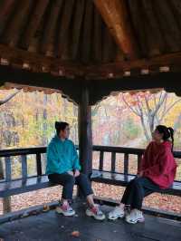 가장 빠른 단풍을 볼수 있는 시월의 단풍여행지🍁