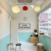 旺角人氣連鎖貓CAFE