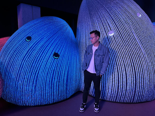 《AI靈感大師：澳洲3D光影觸動樂園》：科技結合藝術的美妙絕倫