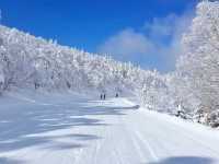 Ryuoo Ski Park ลานสกี จ.นากาโนะ