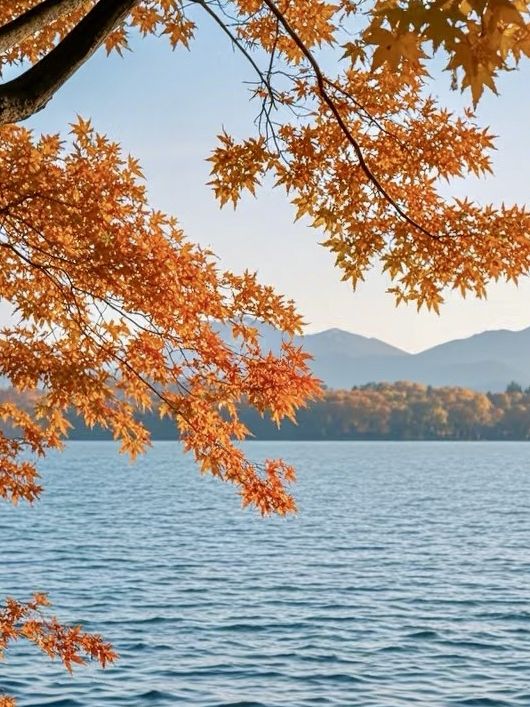 Autumn Bliss at West Lake: A Stroll Through Hangzhou’s Timeless Beauty