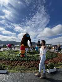 台中 2024國際花毯節