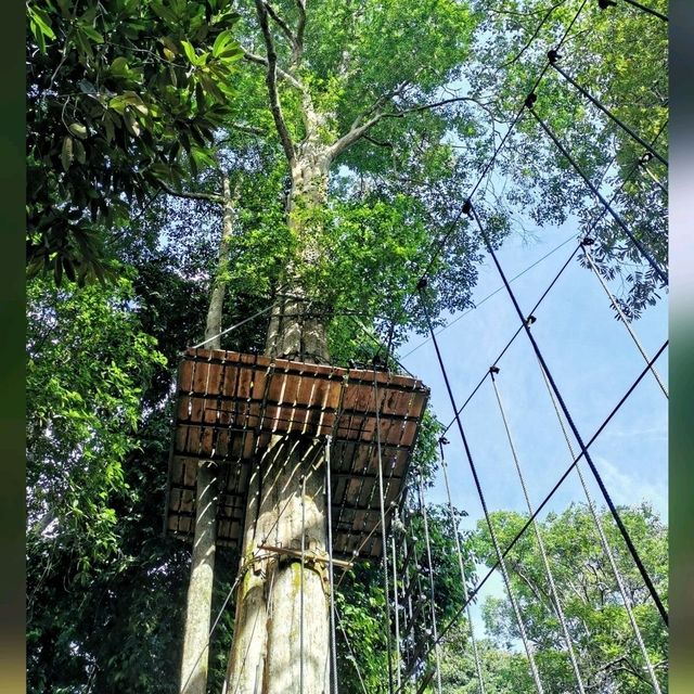 An adventurous & funfull day @ SKYTREX Adventure Melaka! 🌿🐒🍃🦋🌳