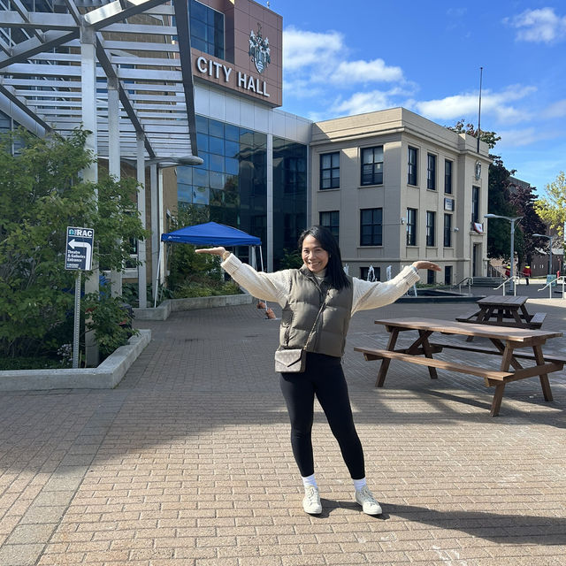 Toronto-Deer Lake|Deer Lake-Toronto(Round-trip)