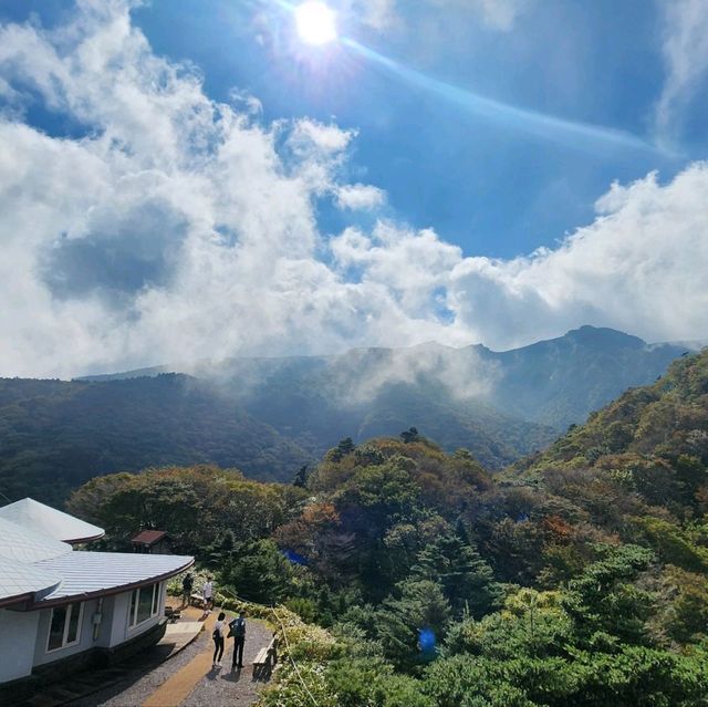 우리나라에서 가장 높은산 한라산을 가보자