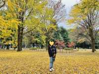 🇯🇵 東京市中心賞銀杏紅葉🍁