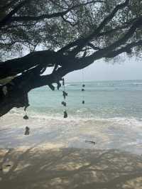 เกาะเสม็ดสวยขนาดนี้เลยหรอ