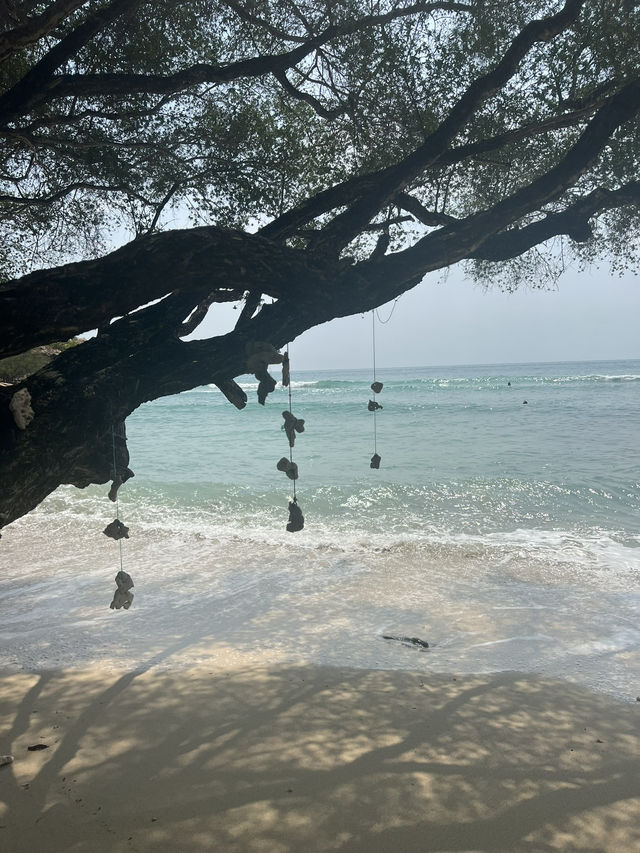 เกาะเสม็ดสวยขนาดนี้เลยหรอ