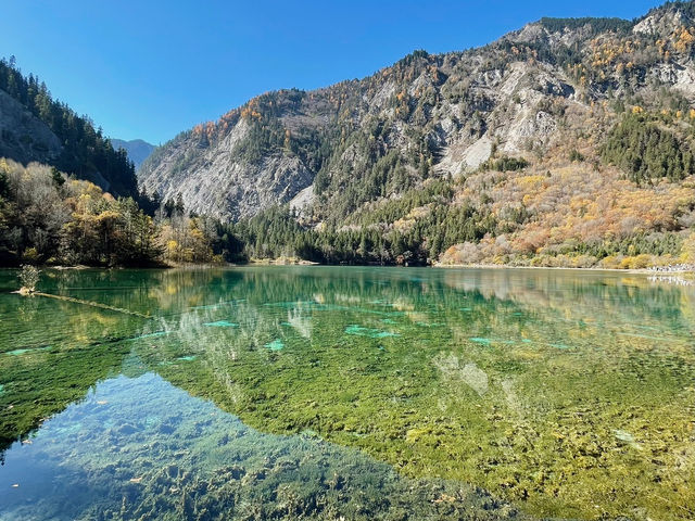 The Kaleidoscope of Five Flower Lake: A Visual Feast in Sichuan