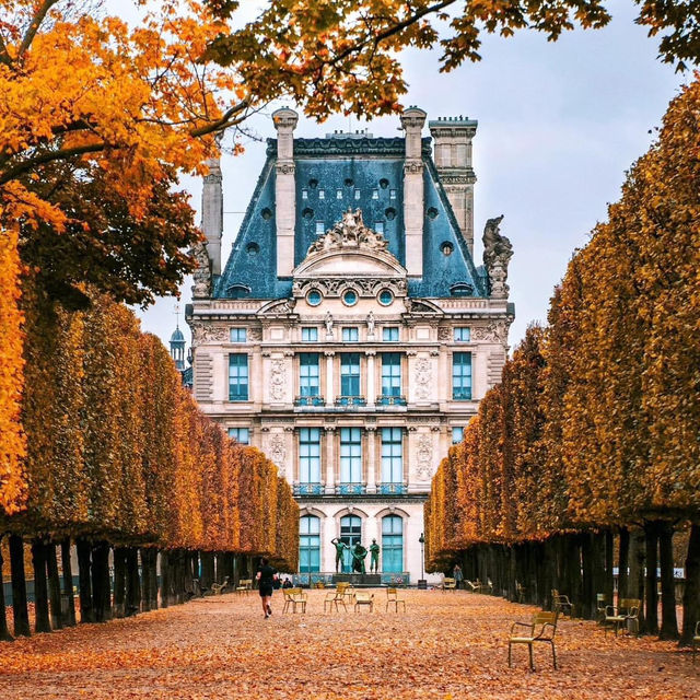 Autumn in Paris, France 🇫🇷 