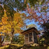 醉人的紅葉銀河，漫步千年古剎「中尊寺」
