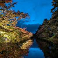 弘前城渡船賞夜楓，燈火楓紅醉是浪漫