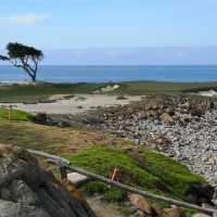 Discover the Splendid View of 17 miles drive at California