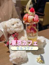 東京カフェダイニング🥰🍽️🍰セルコヴァ☕️