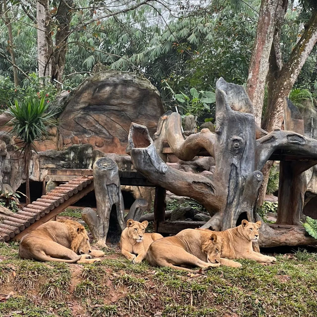 福岡市動植物園：自然的奇妙🌿🦁