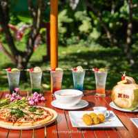 Pets friendly hotel Phuket🐶🐱