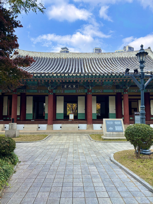 고즈넉한 분위기에서 가을을 느끼기 좋은 경상감영공원🤍