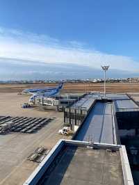 伊丹空港のクリスマス2024