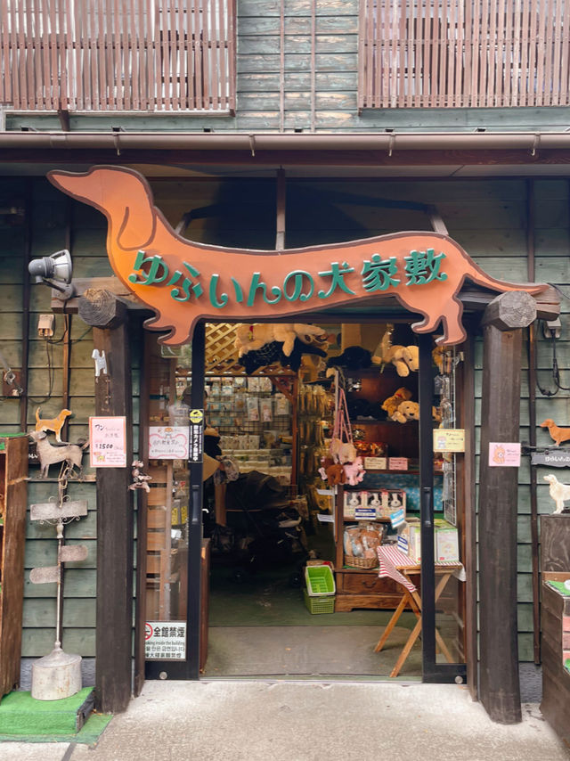 大分観光😊観光に人気のスポット😊✨湯の坪街道✨